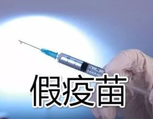非洲豬瘟有疫苗了？假的！