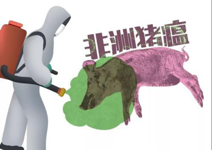 非瘟日常防控三要點(diǎn)：外防、內(nèi)控和提免