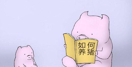 給豬用藥的幾大誤區(qū)！