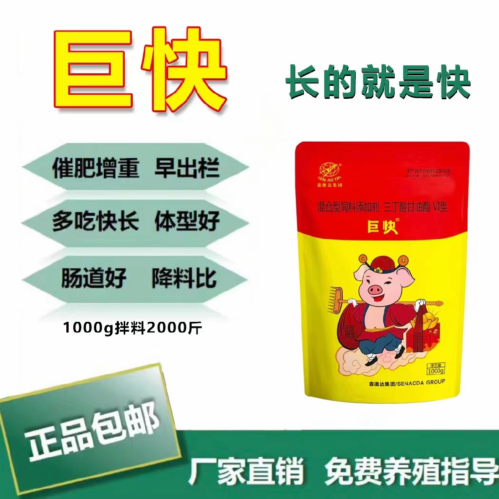 生豬如何高效催肥？